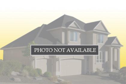 2222 Basque Dr , 41002146, Tracy, Single-Family Home,  for sale, Lisa Benavides, REALTY EXPERTS®